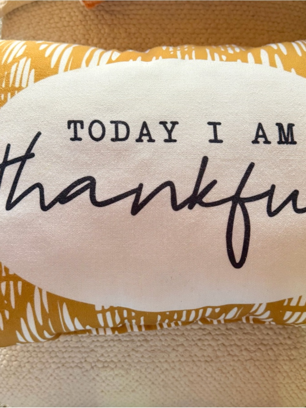Today I Am Thankful Decorative Accent Pillow - Mustard